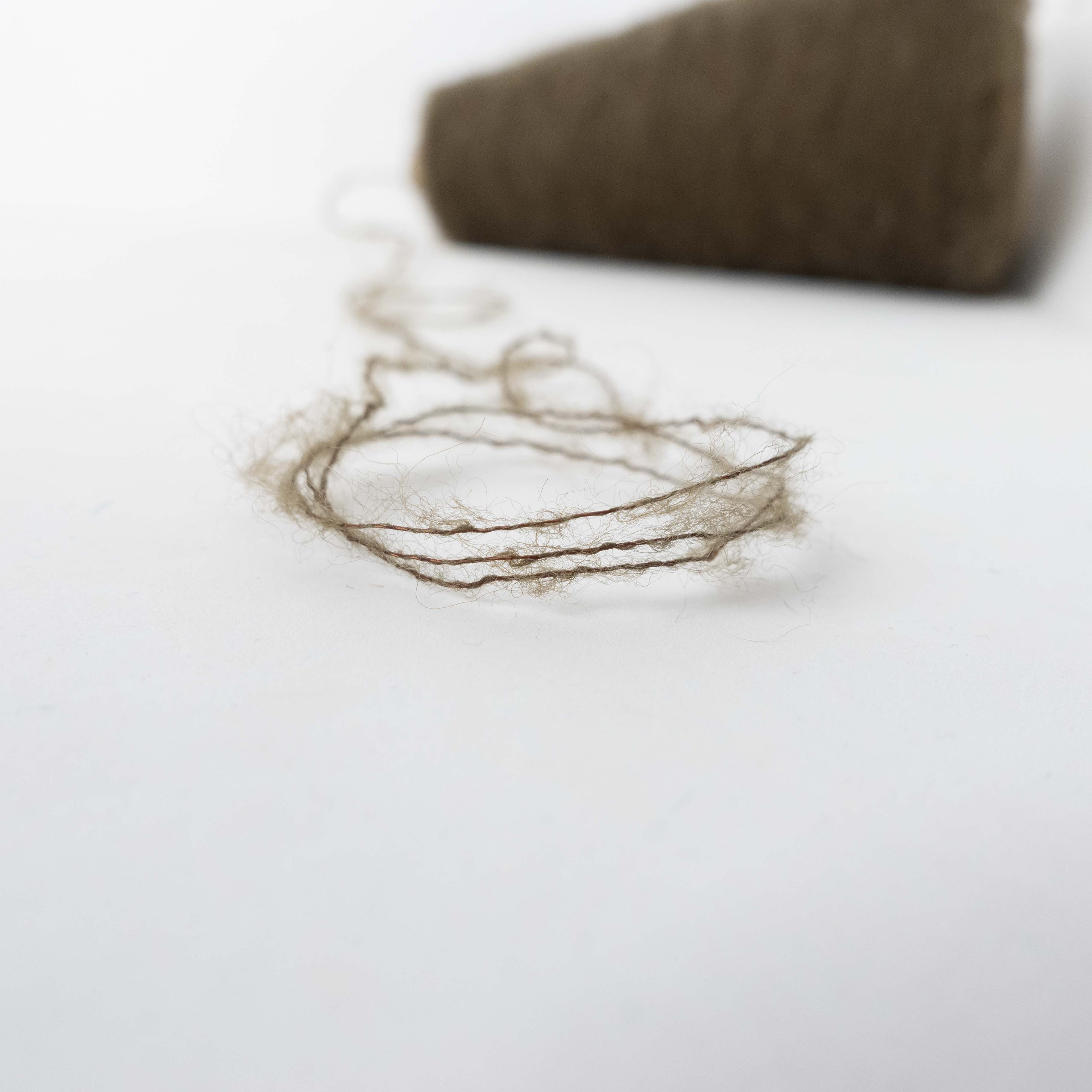 1/13 Tam Tam (タムタム)