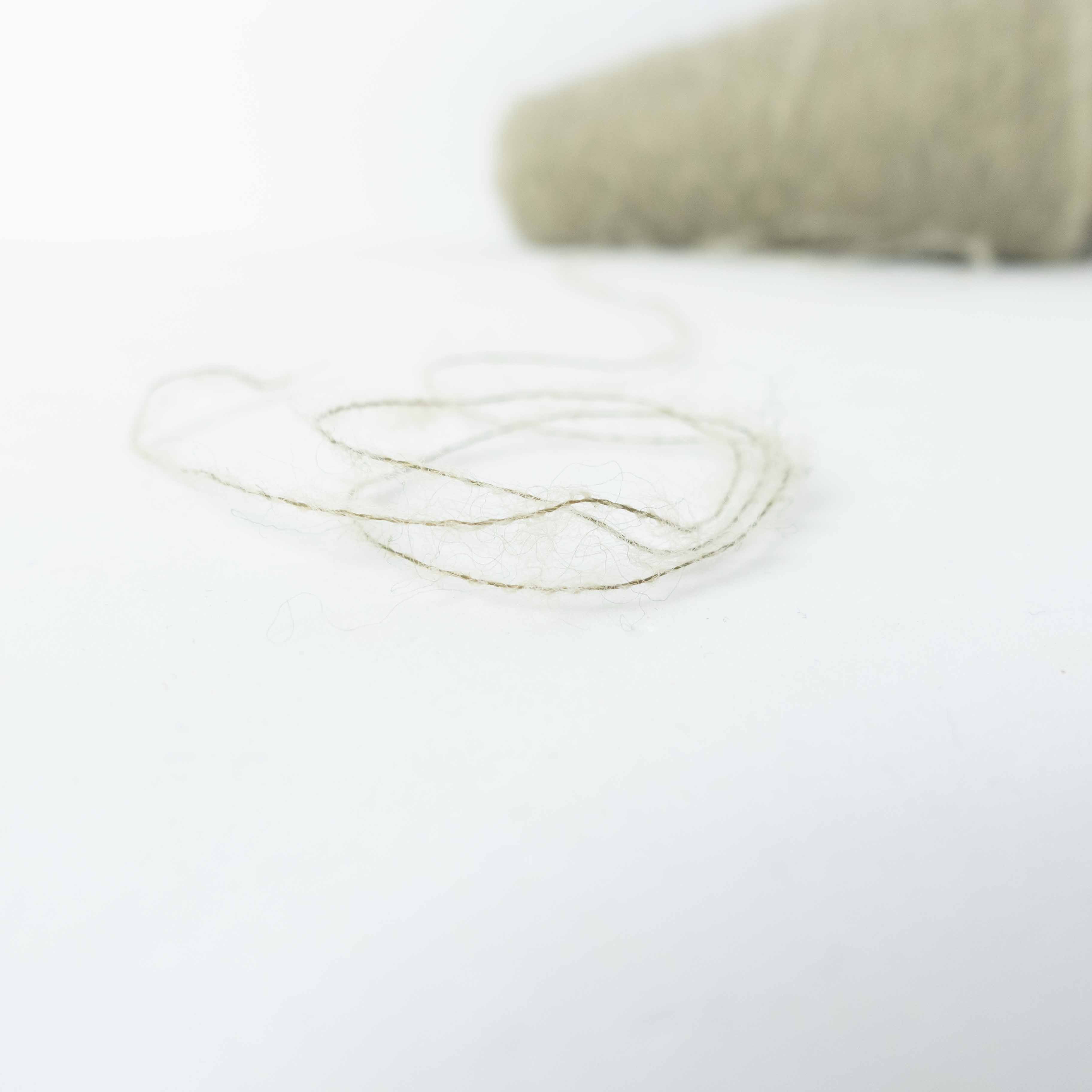 1/13 Tam Tam (タムタム)