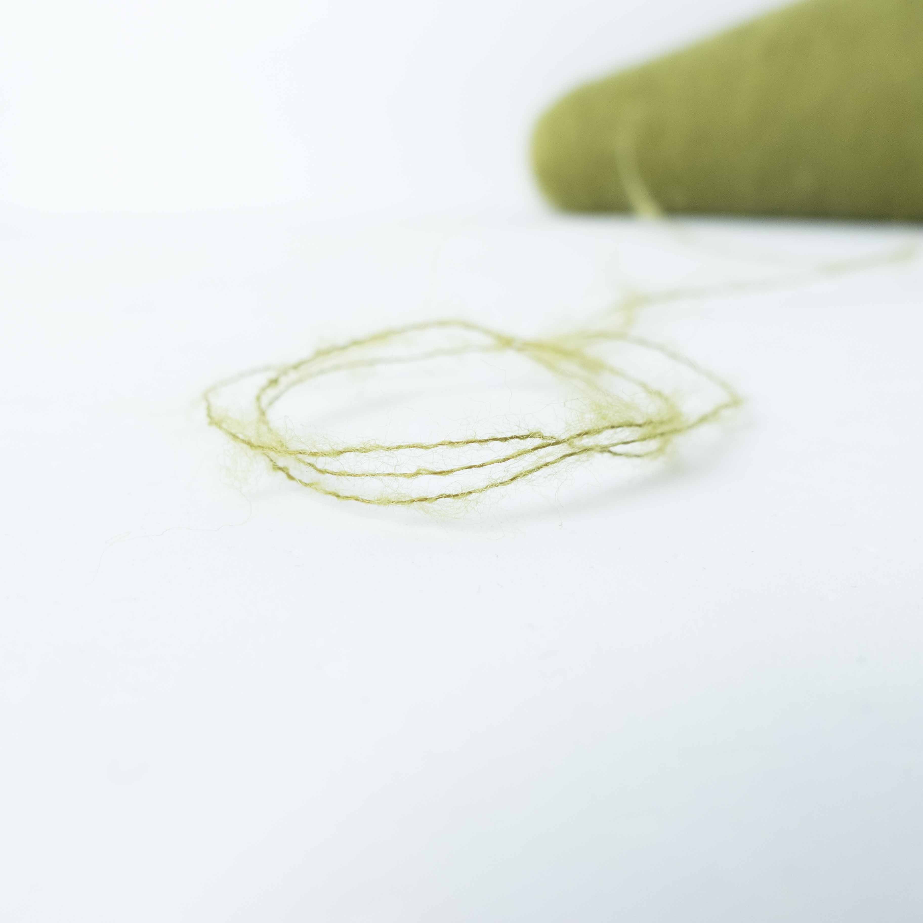 1/13 Tam Tam (タムタム)