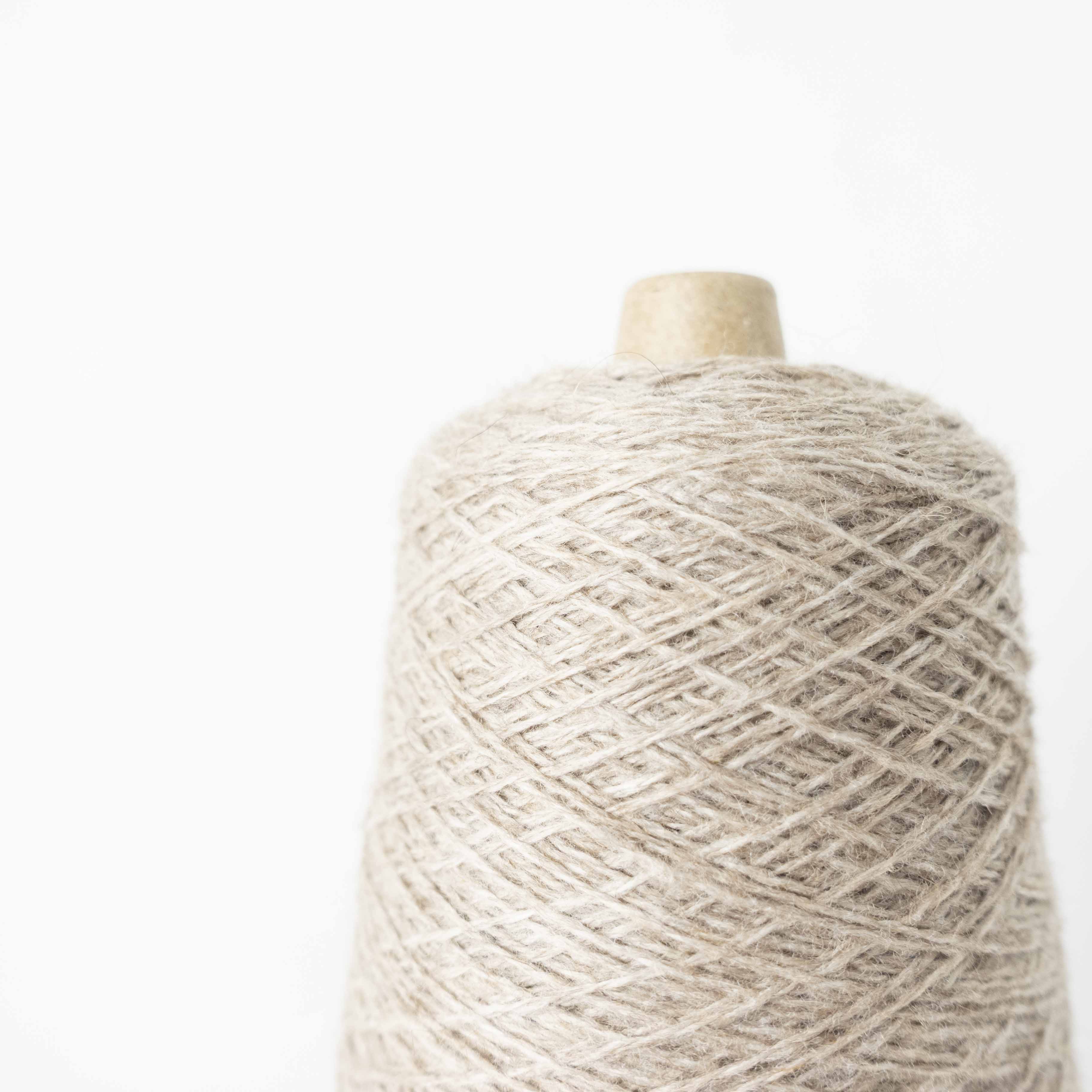 2/26 ウールラクーン