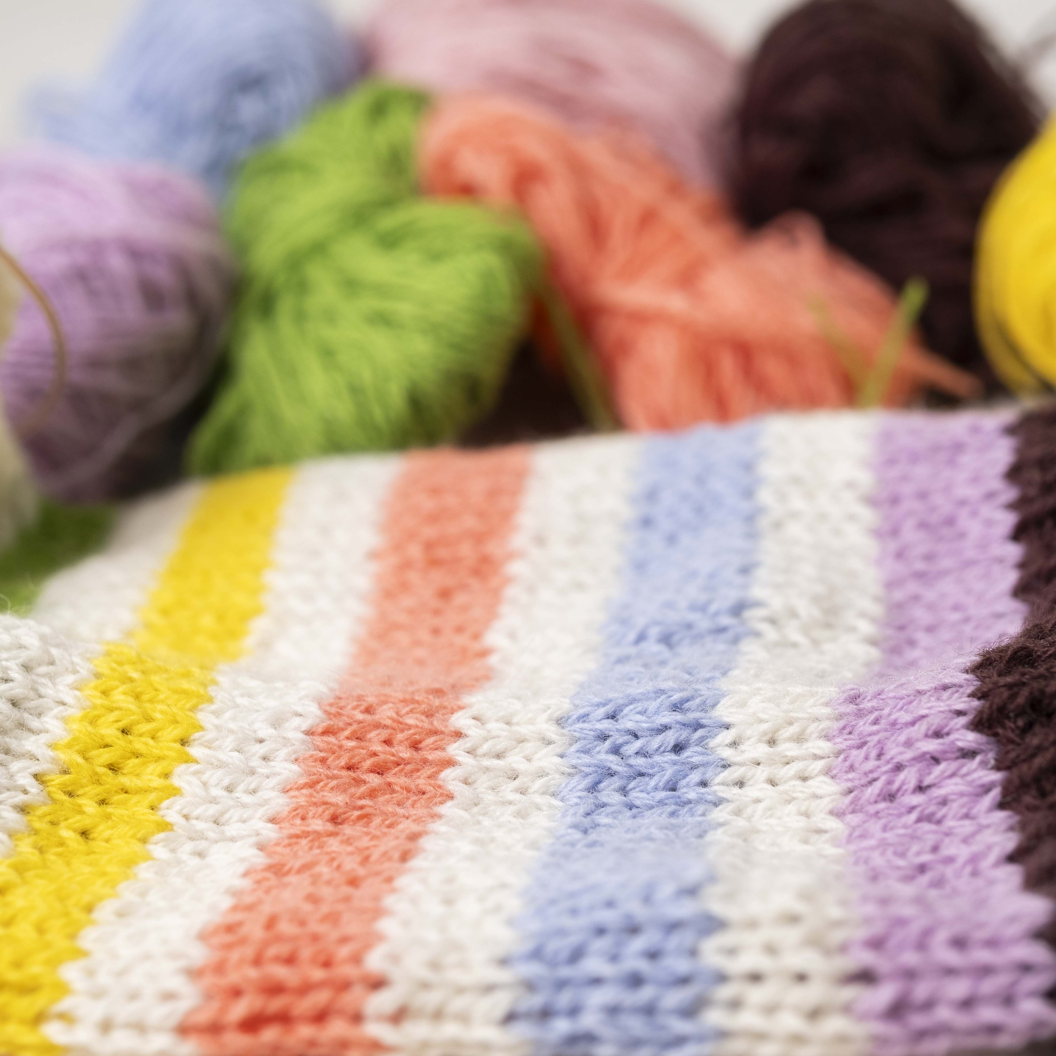 4/16 Moo Moo(ムームー)