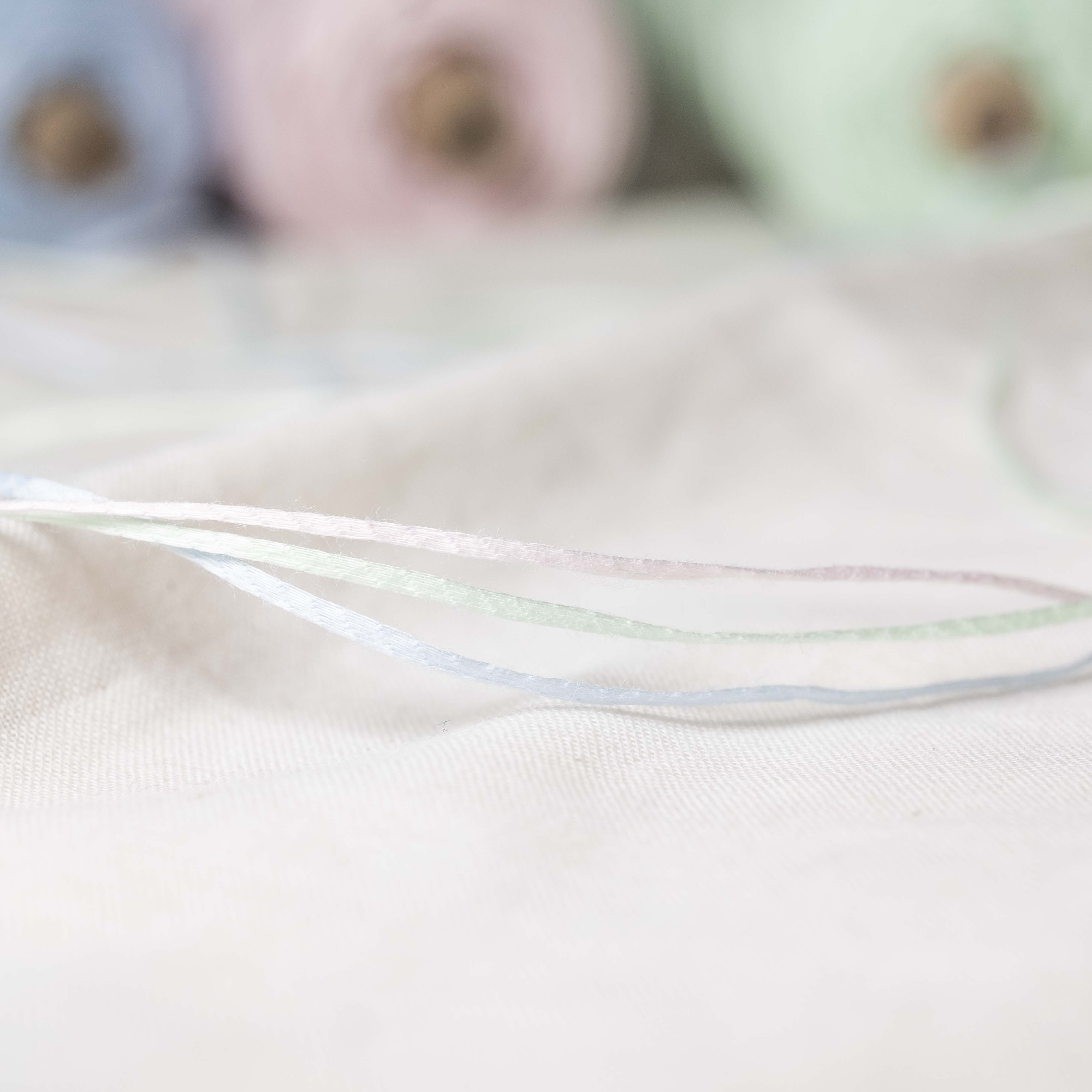 1/4.3 COTOLI(コトリ)