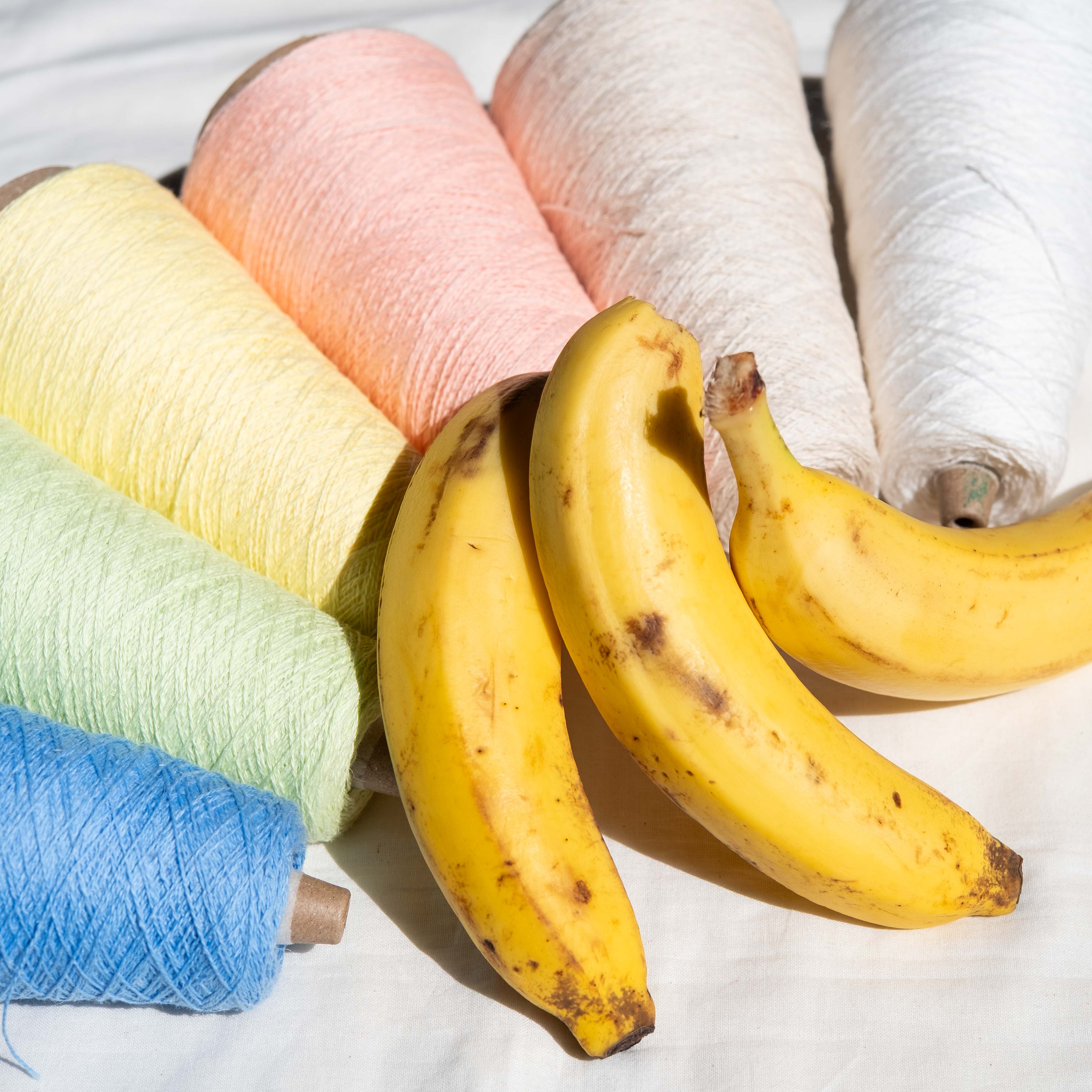 BANANA CLOTH(バナナクロス)/ バナナの茎の繊維でできた糸 【2026】