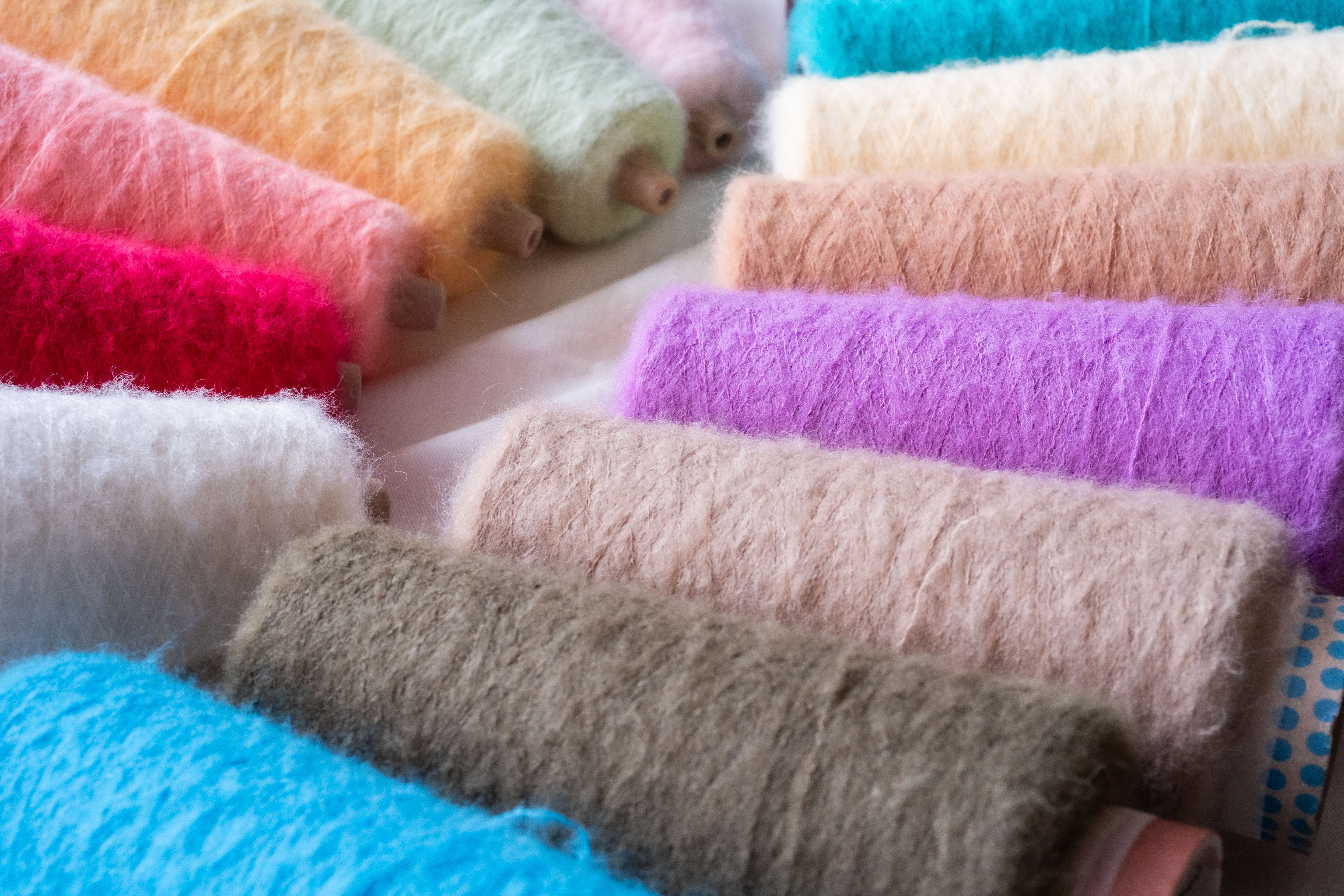 1/13 Tam Tam (タムタム)