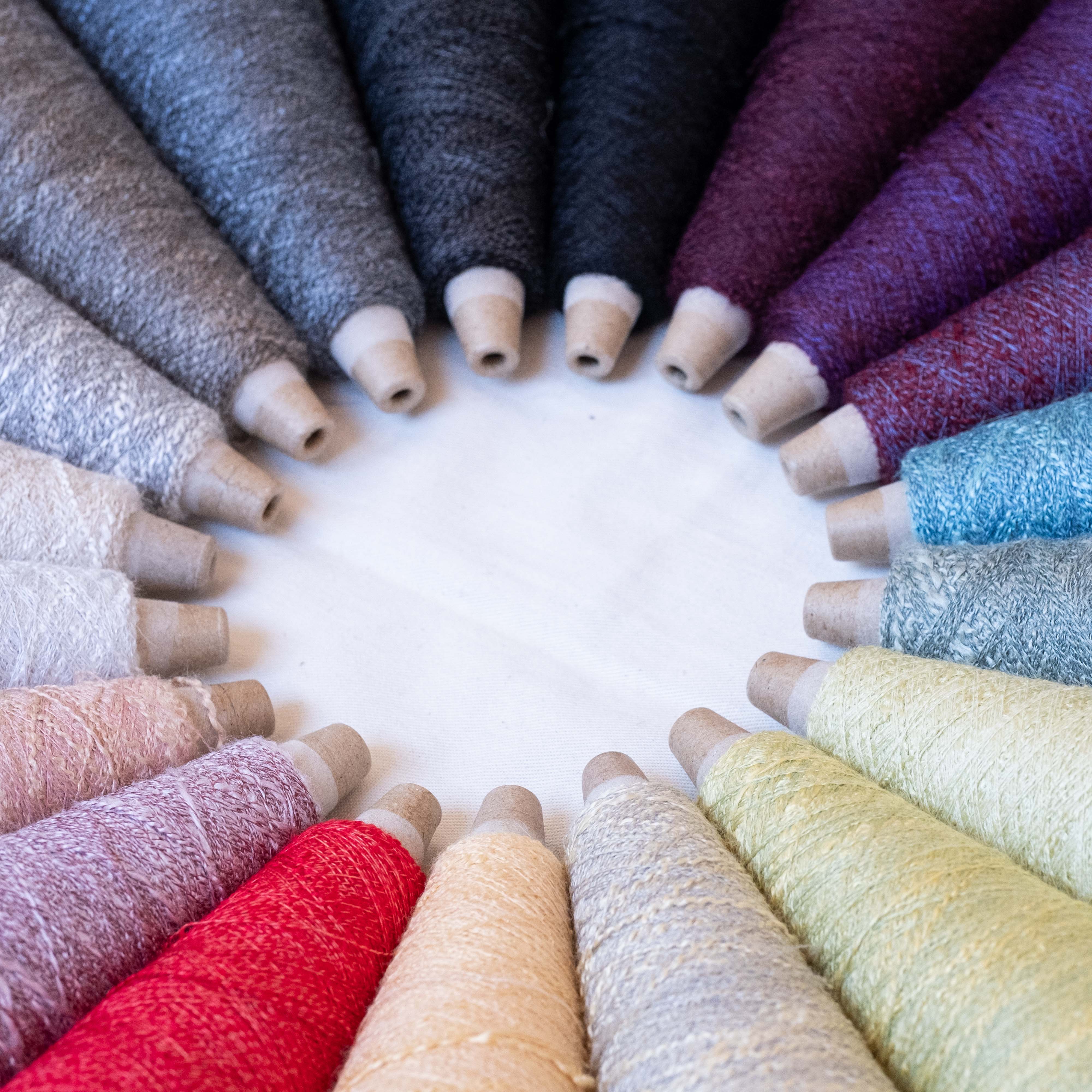 1/17 Sayan(サイアン)