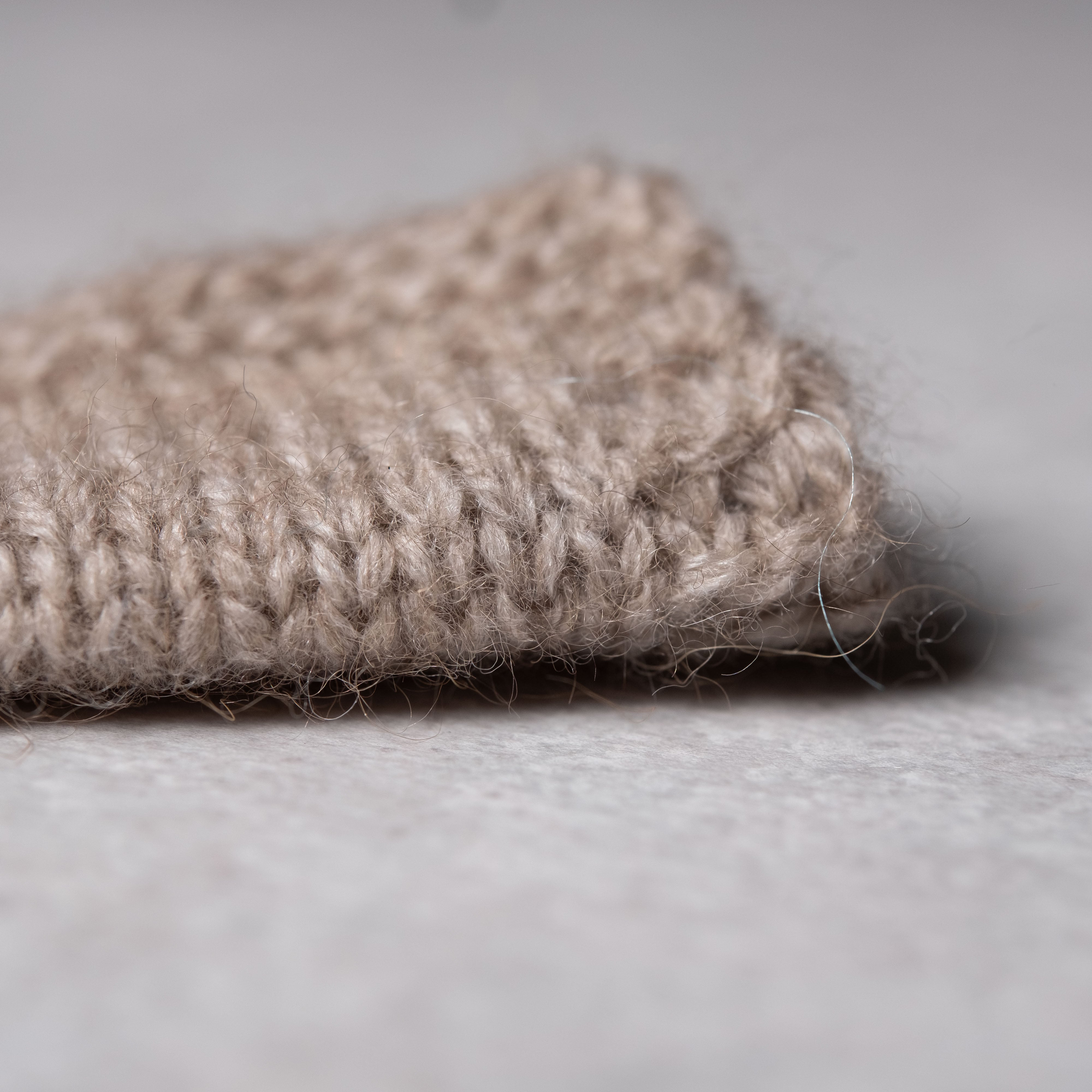 2/26 ウールラクーン