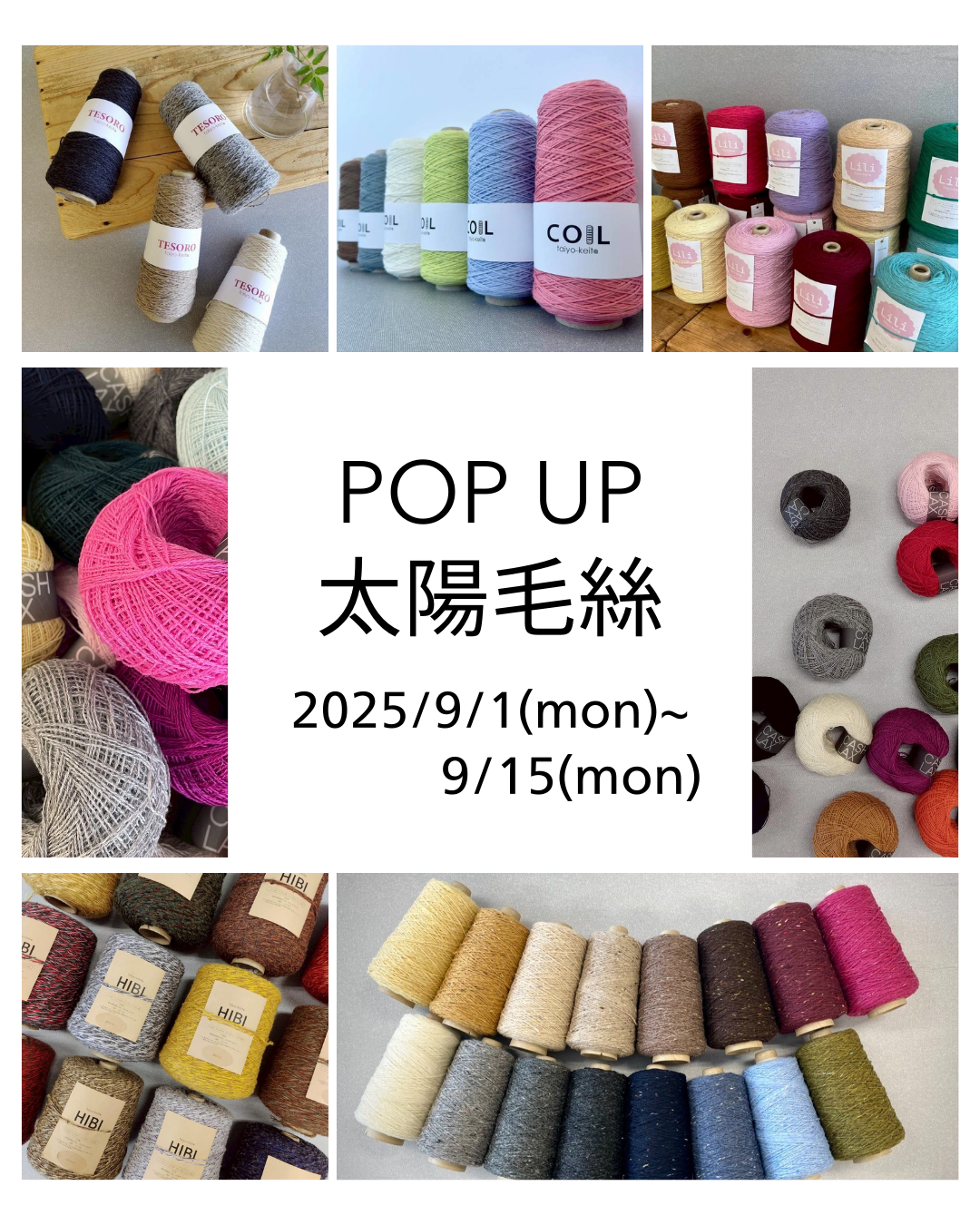 【🎪POP UP🎪】 太陽毛絲POP UP！