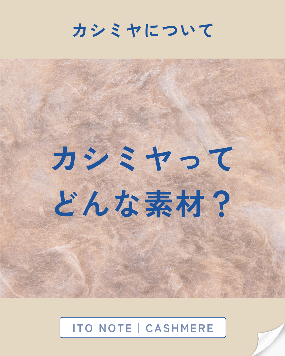 📖 ITO NOTE｜CASHMERE カシミヤってどんな素材？