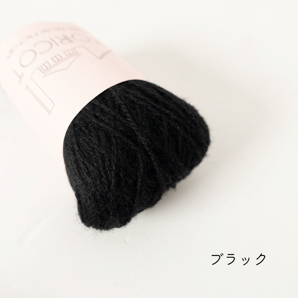 【10g小巻】2/20 bon bon merino（ボンボン・メリノ）