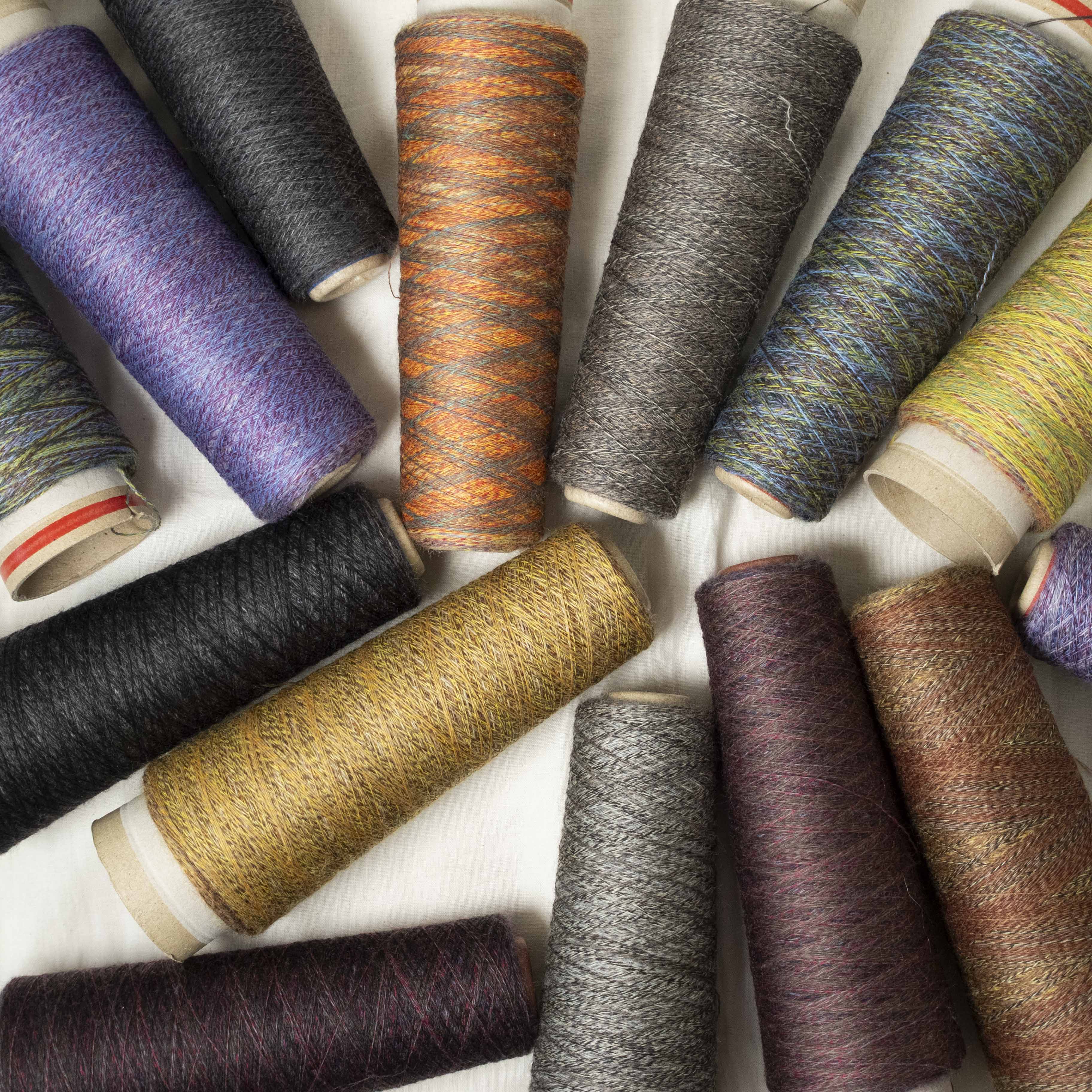 2/48 ネオンテトラ