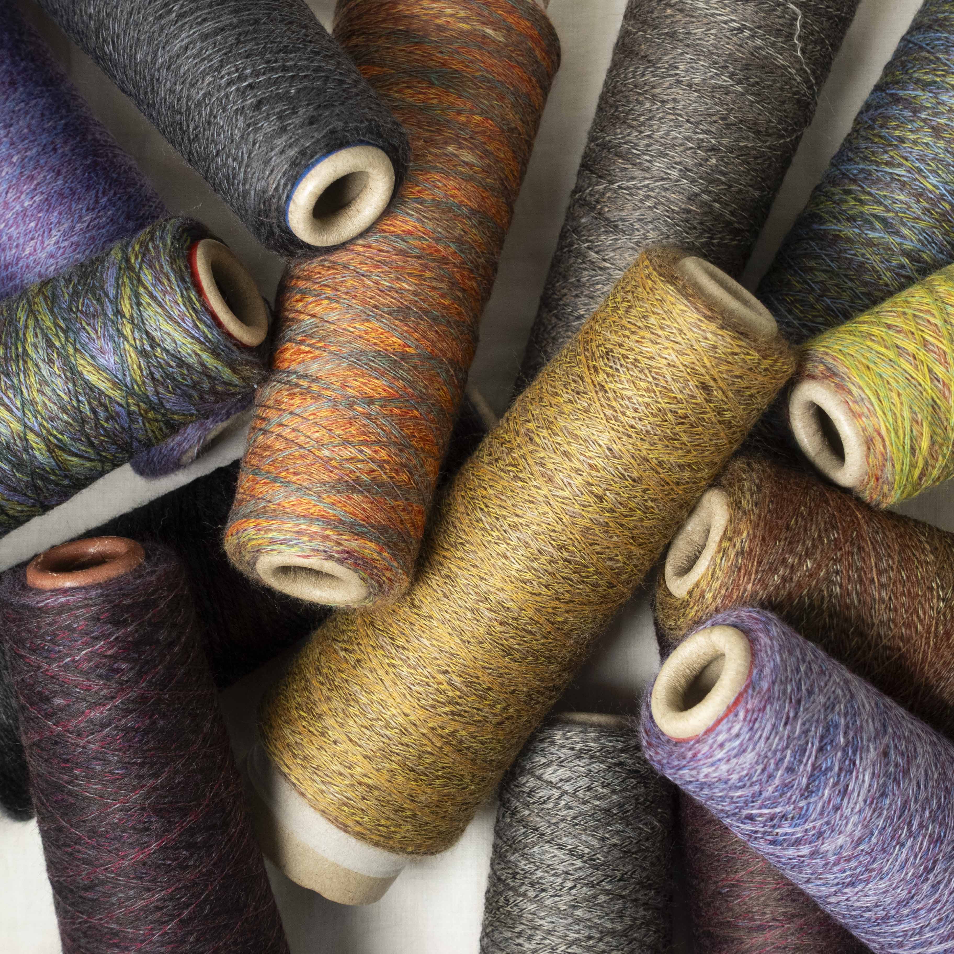 2/48 ネオンテトラ