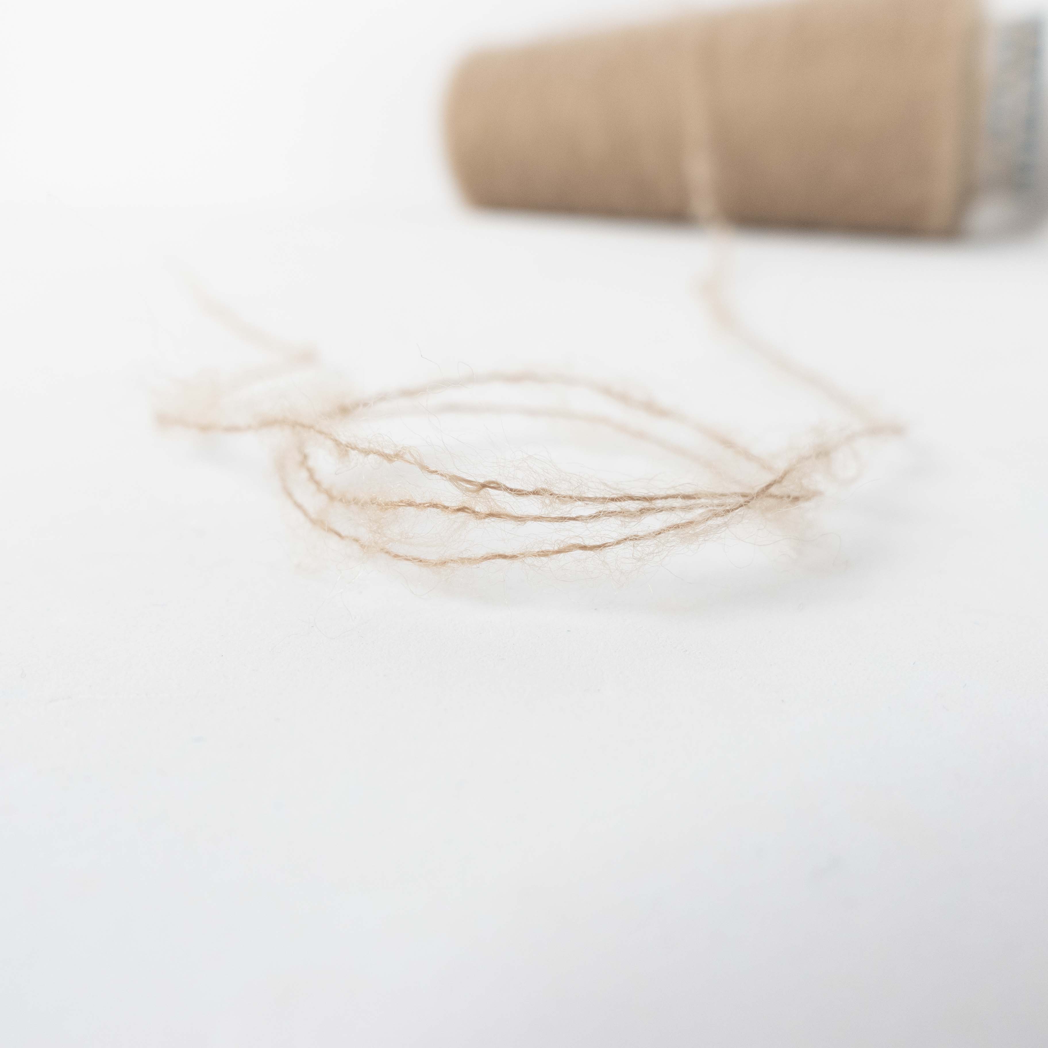 1/13 Tam Tam （タムタム）