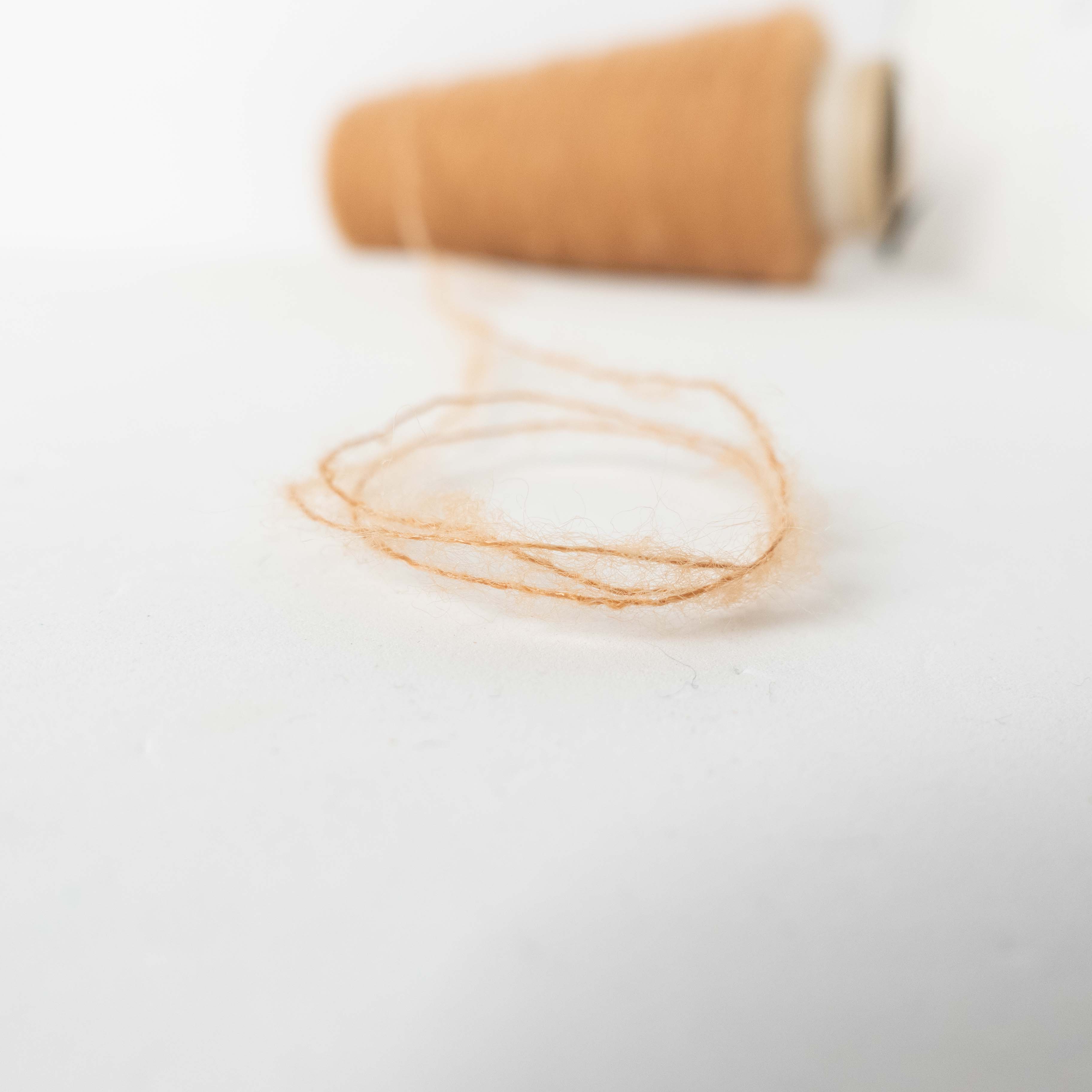 1/13 Tam Tam （タムタム）