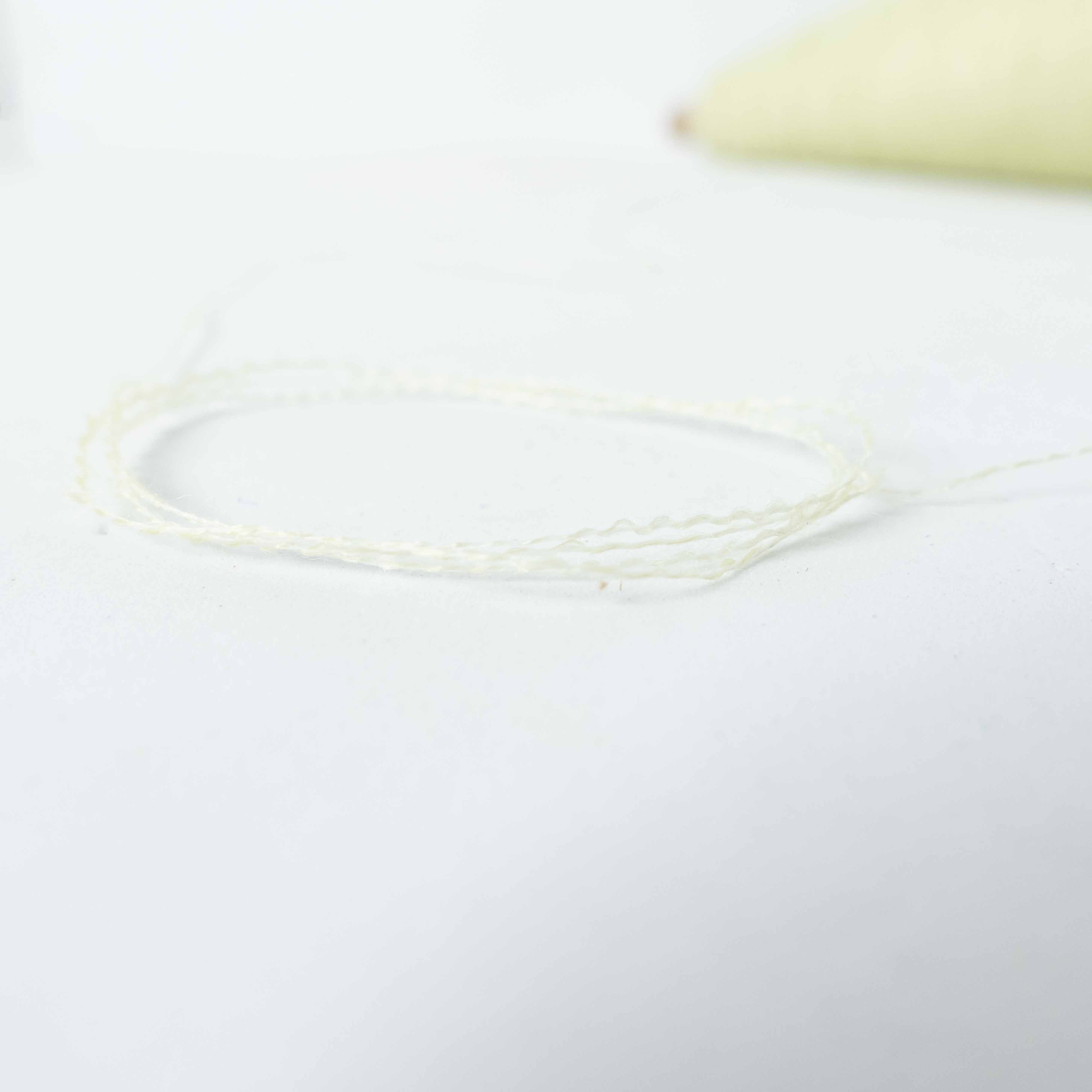 1/17 Sayan（サイアン）