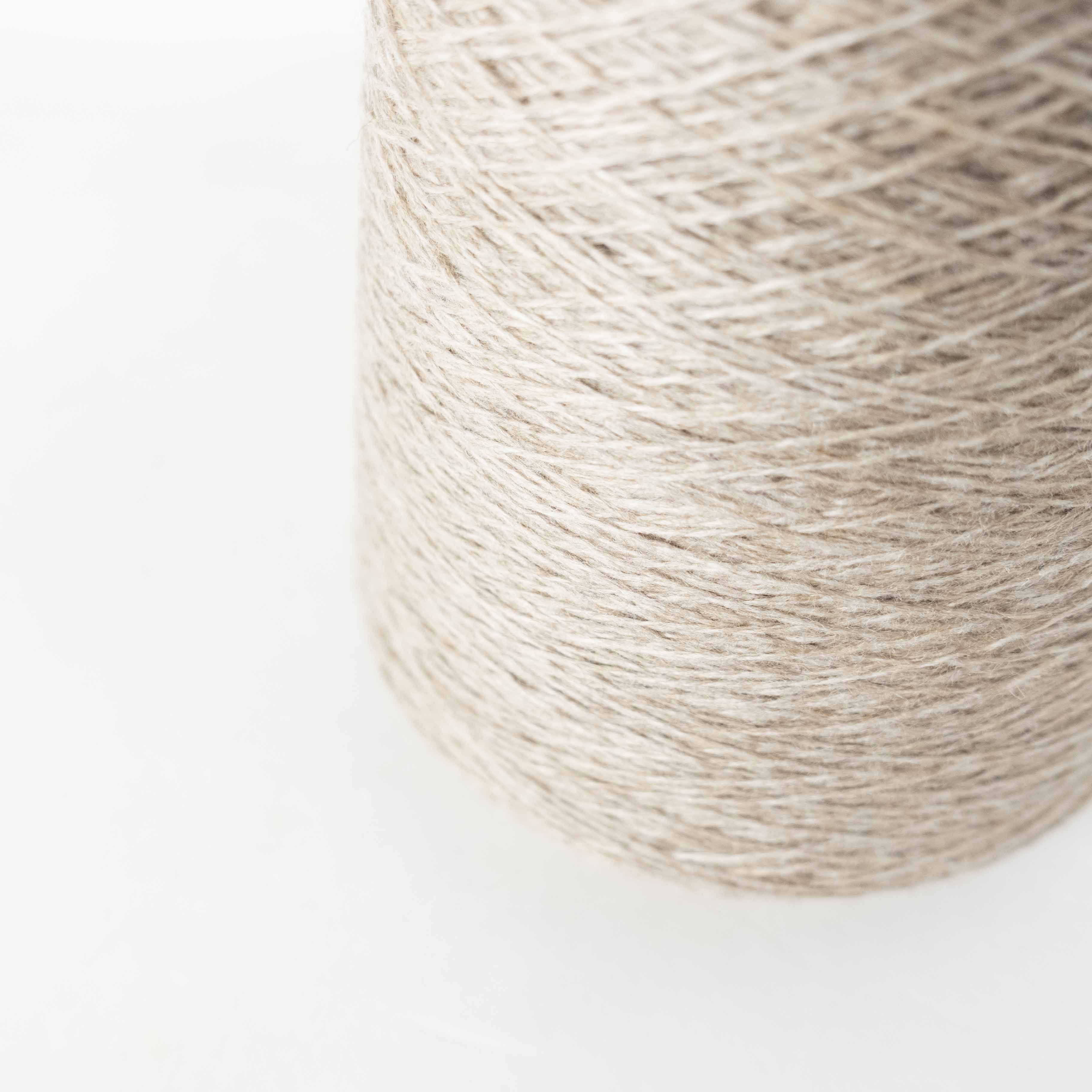 2/26 ウールラクーン