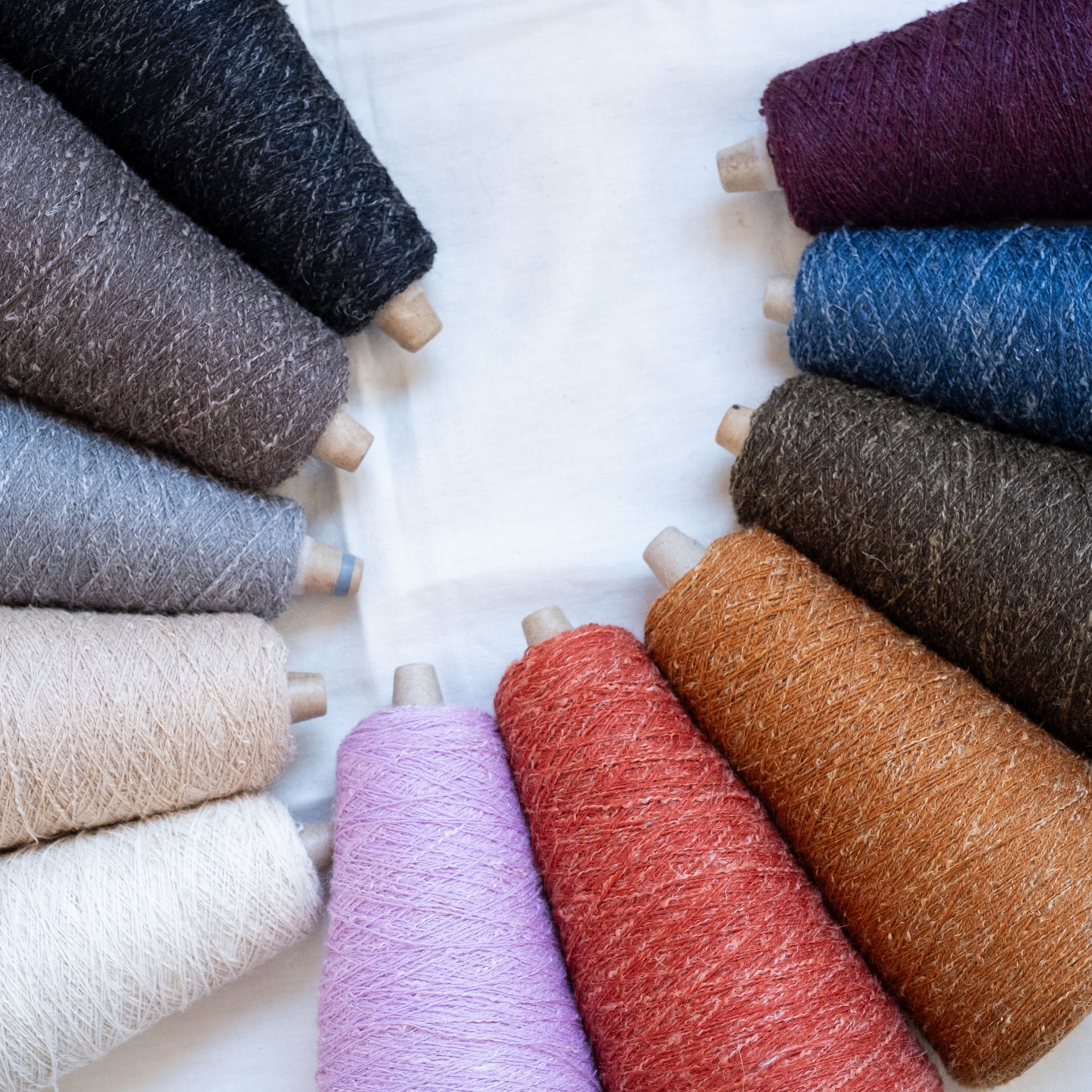 1/10.2 Alps（アルプス）