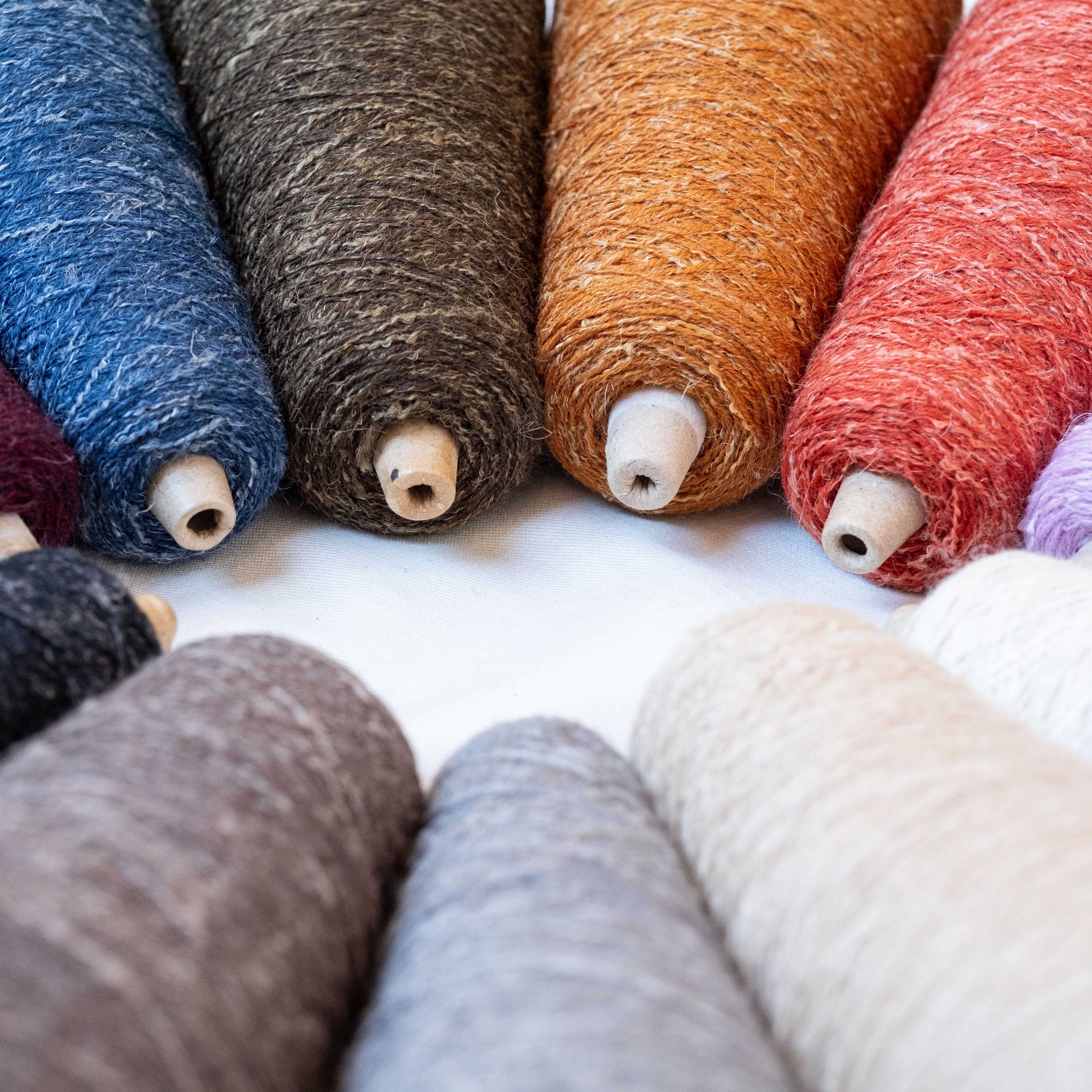 1/10.2 Alps（アルプス）