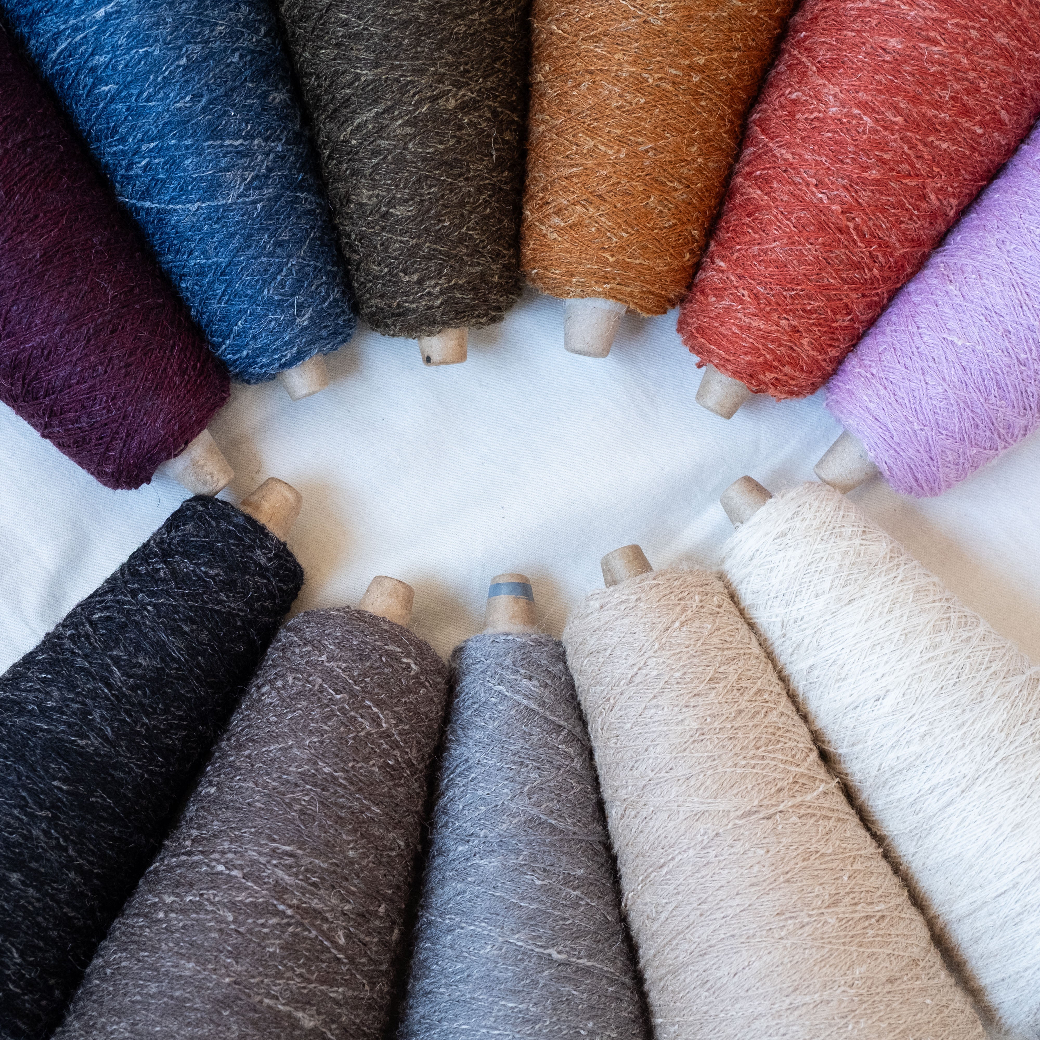 1/10.2 Alps（アルプス）