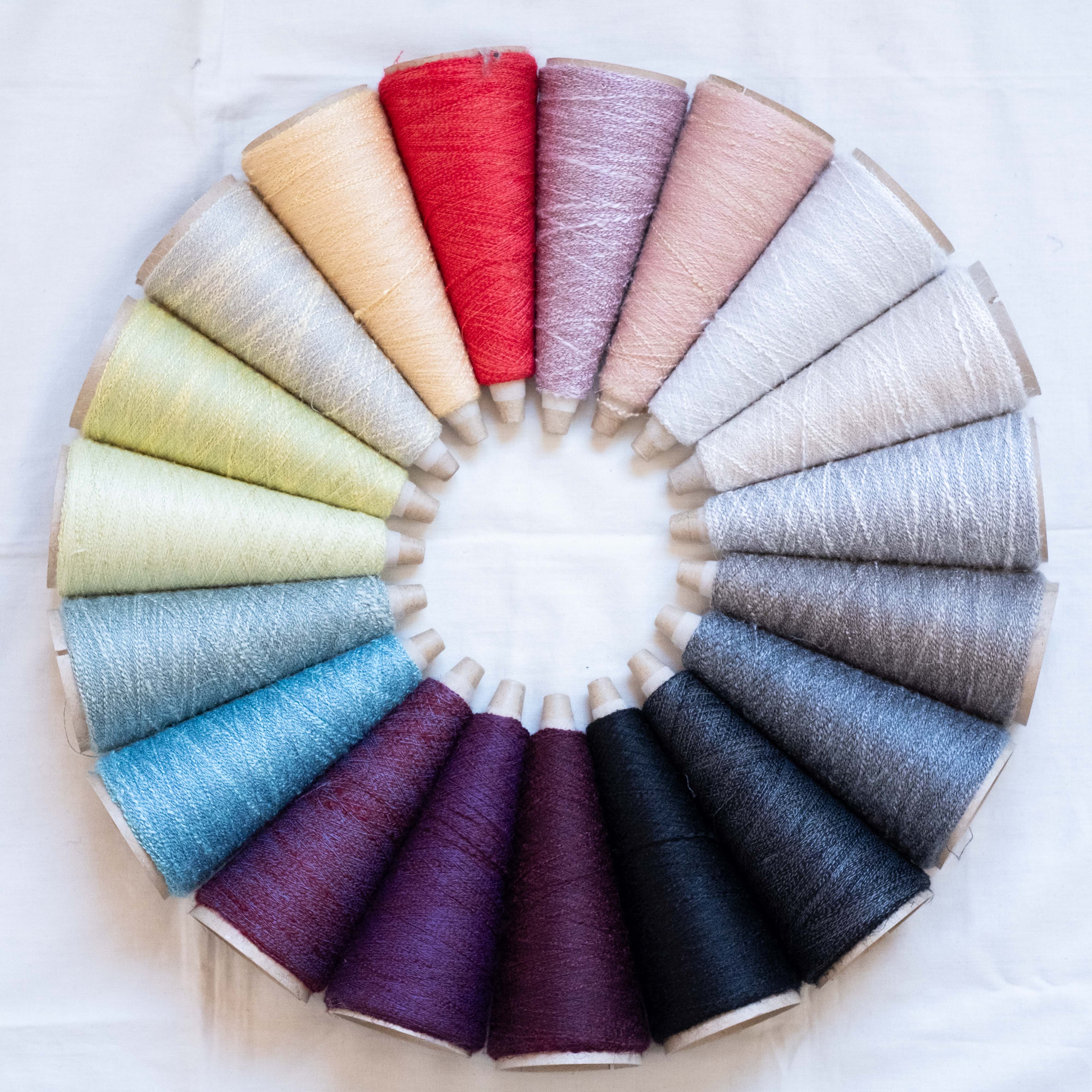 1/17 Sayan（サイアン）